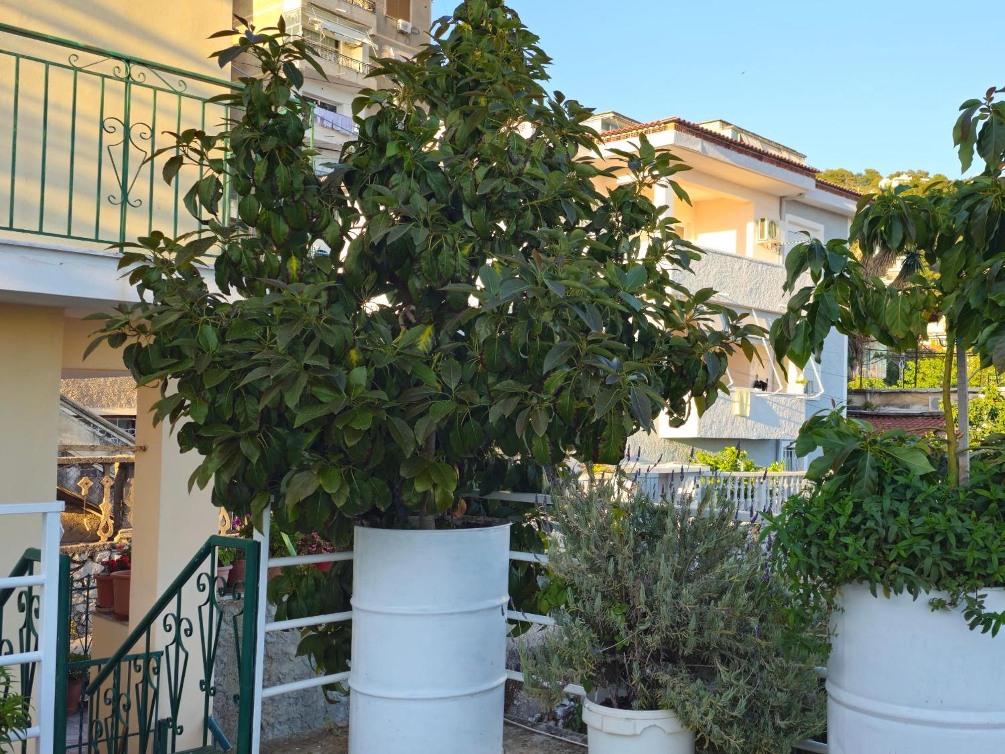 Joen Apartments Sarandë Esterno foto